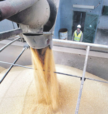 haga click para ampliar la imagen