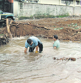 haga click para ampliar la imagen