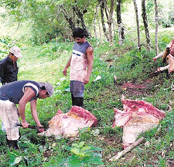 haga click para ampliar la imagen