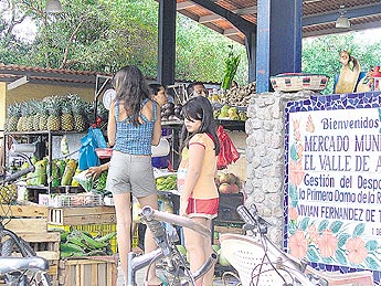 haga click para ampliar la imagen