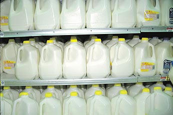 haga click para ampliar la imagen