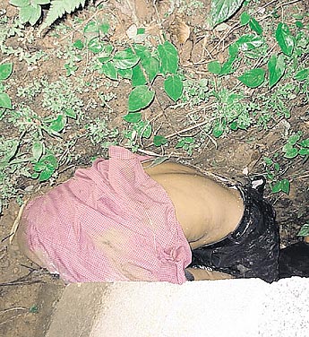 haga click para ampliar la imagen