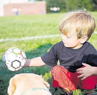 haga click para ampliar la imagen