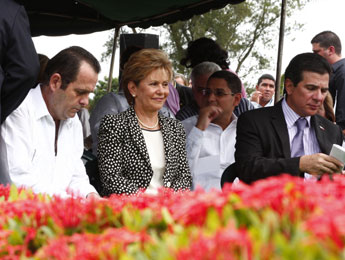 haga click para ampliar la imagen
