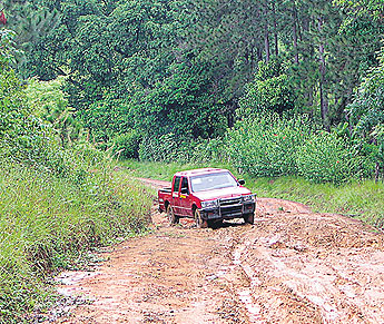 haga click para ampliar la imagen