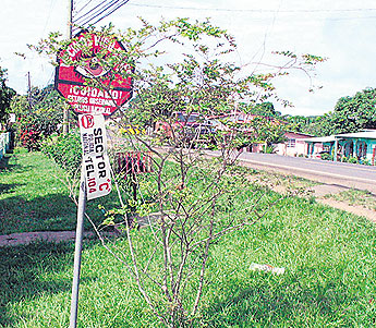 haga click para ampliar la imagen