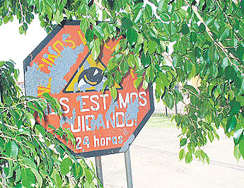 haga click para ampliar la imagen