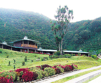 haga click para ampliar la imagen