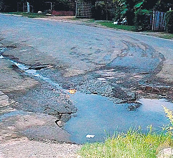 haga click para ampliar la imagen