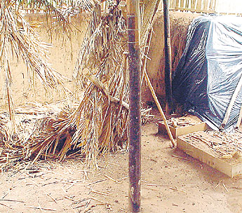 haga click para ampliar la imagen