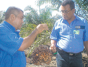 haga click para ampliar la imagen