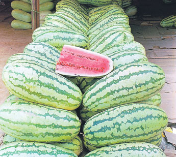 haga click para ampliar la imagen