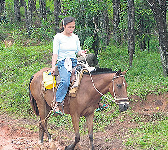 haga click para ampliar la imagen
