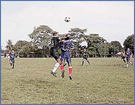 Imagen foto