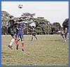 Imagen foto