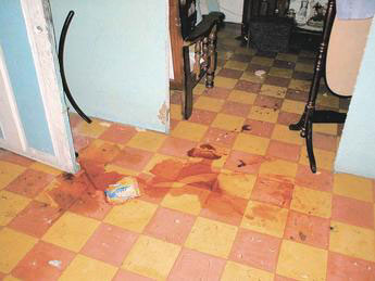 Imagen foto
