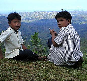 Imagen foto