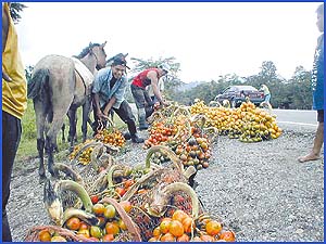 Imagen foto