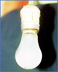 Imagen foto