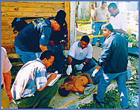 Imagen foto