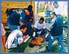 Imagen foto