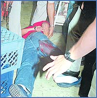 Imagen foto