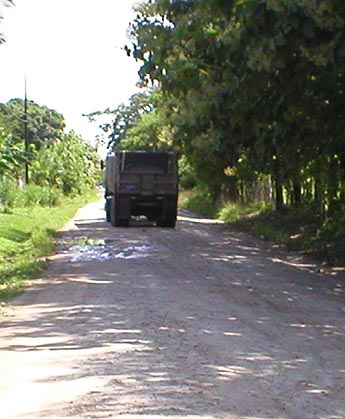 Imagen foto