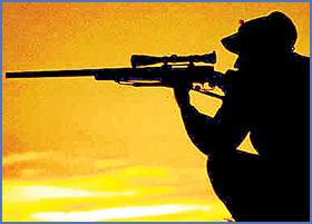 Imagen foto