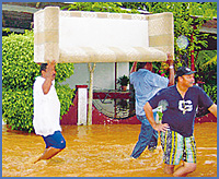 Imagen foto