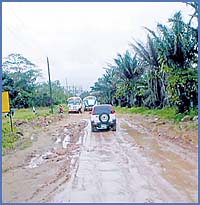 Imagen foto