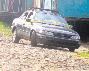 haga click para ampliar la imagen