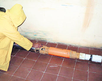 haga click para ampliar la imagen