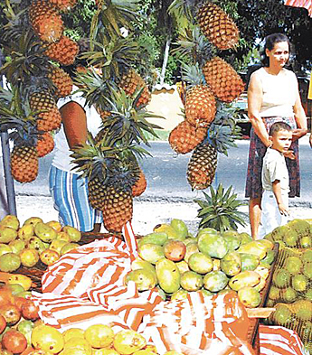 Imagen foto