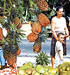 Imagen foto