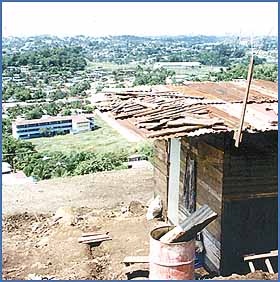 Imagen foto