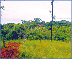 Imagen foto