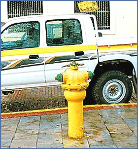 Imagen foto