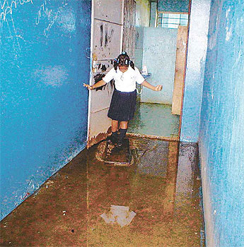 Imagen foto