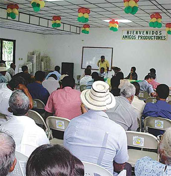 Imagen foto