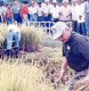 Imagen foto