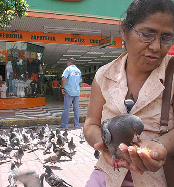 Imagen foto