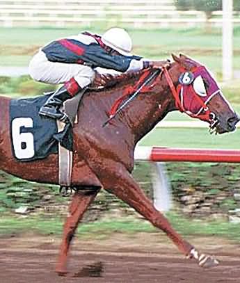 Imagen foto