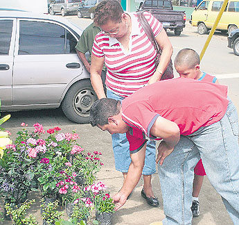 haga click para ampliar la imagen