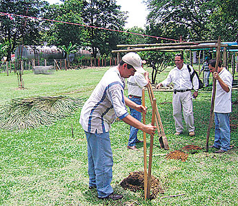 haga click para ampliar la imagen