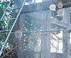haga click para ampliar la imagen