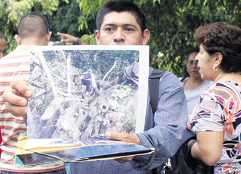 haga click para ampliar la imagen