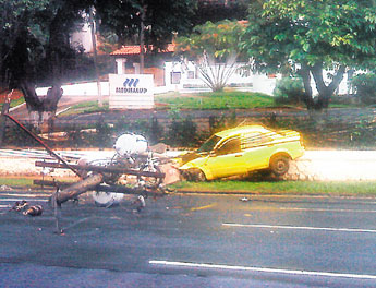 haga click para ampliar la imagen
