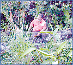 Imagen foto