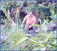 Imagen foto