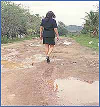 Imagen foto